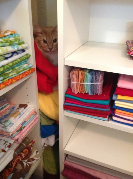 Beasley - If I fits, I sits